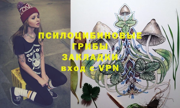 круглые Алексин