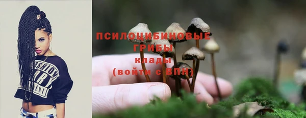 круглые Алексин