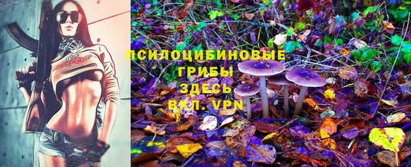 круглые Алексин