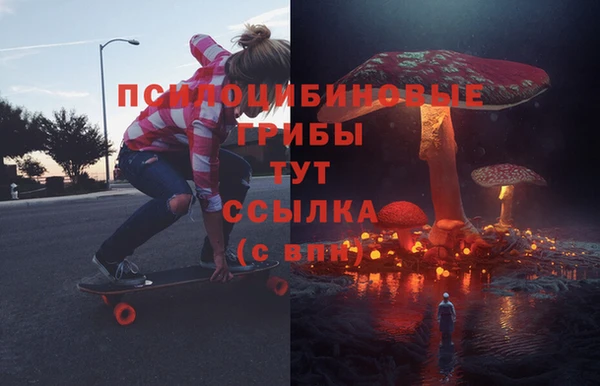 шишки Алексеевка