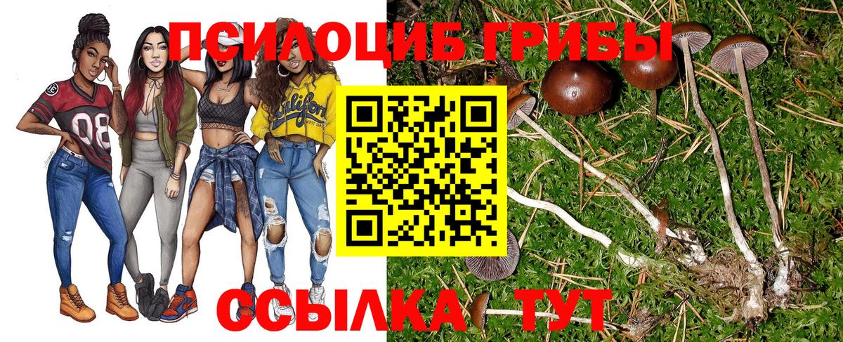 Галлюциногенные грибы прущие грибы Изобильный