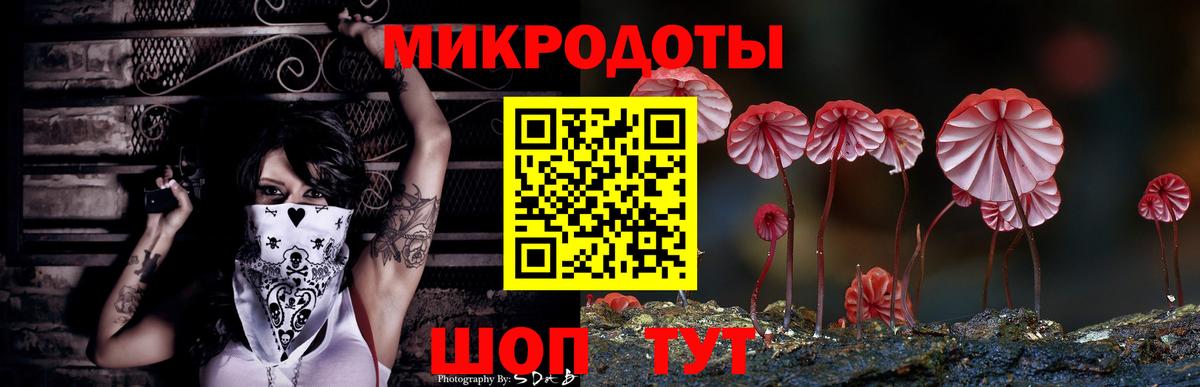 Псилоцибиновые грибы MAGIC MUSHROOMS  Галлюциногенные грибы GOLDEN TEACHER  продажа наркотиков  Изобильный  Вход с VPN 